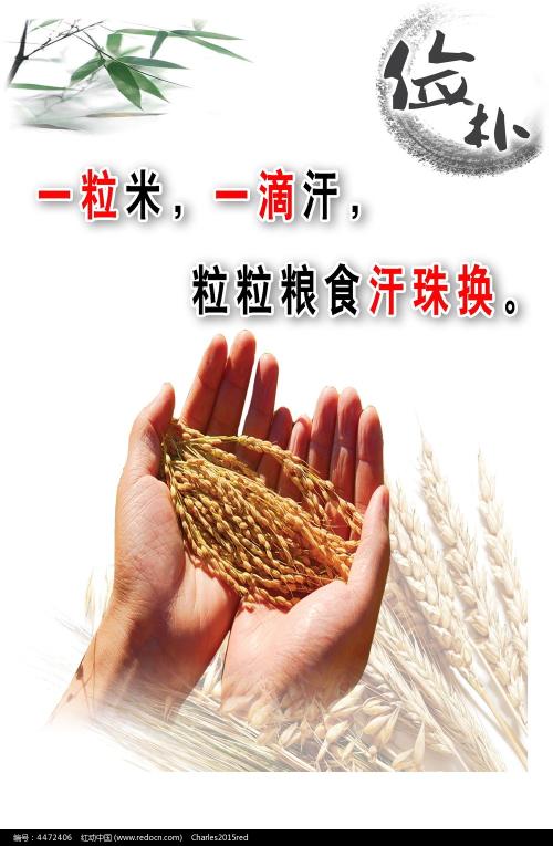 公证书外交部认证在哪